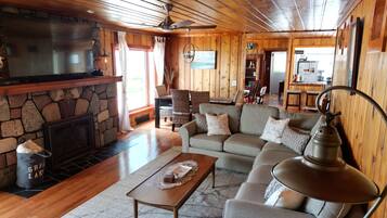 Smart TV, fireplace, books, music library