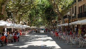 Eine von Bäumen gesäumte Straße mit Außenbereichen und Cafés.