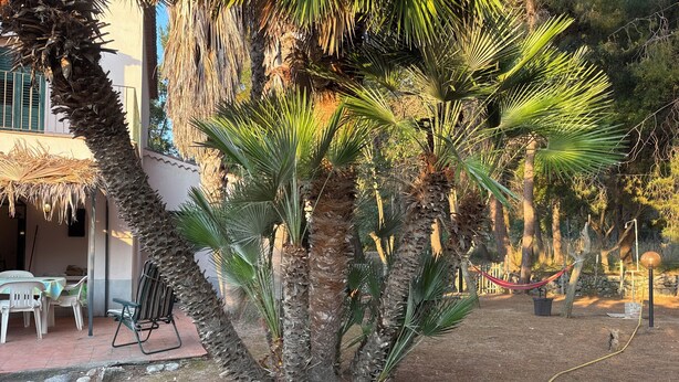 A patio area with palm trees, a thatched umbrella, outdoor furniture, and a hose on the ground. - Farmhouse/ house hill (Parghelia)