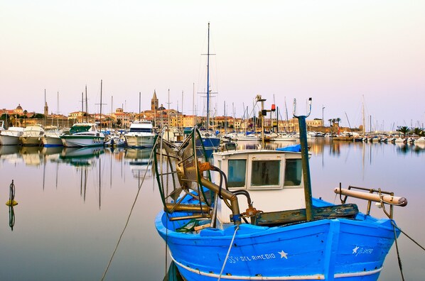 Un puerto deportivo con varias embarcaciones amarradas, un barco azul destacado en primer plano y edificios al fondo.