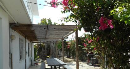Avenue Guesthouse