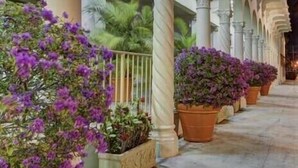 Un pasillo interior con columnas y arcos blancos, decorado con plantas en macetas.