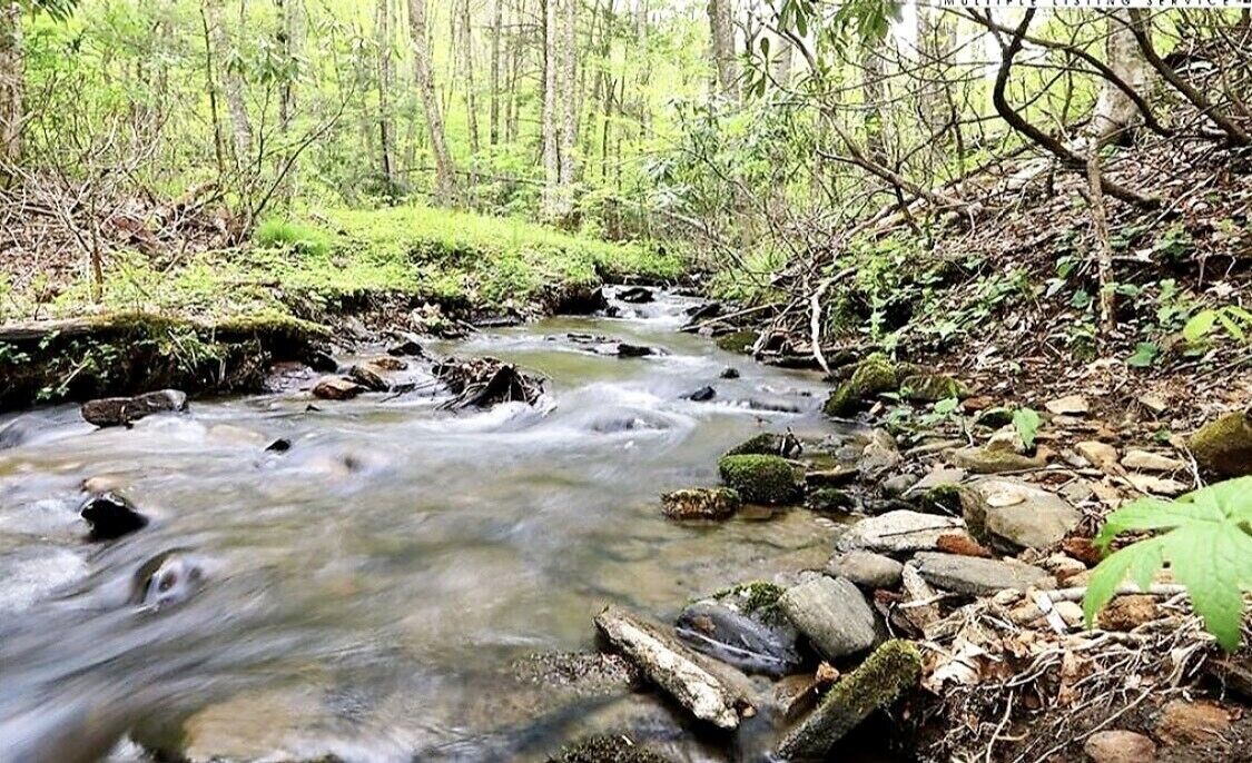 Peaceful & Serene Creekside Cabin on 20 Acres - Private Pond & Hot Tub