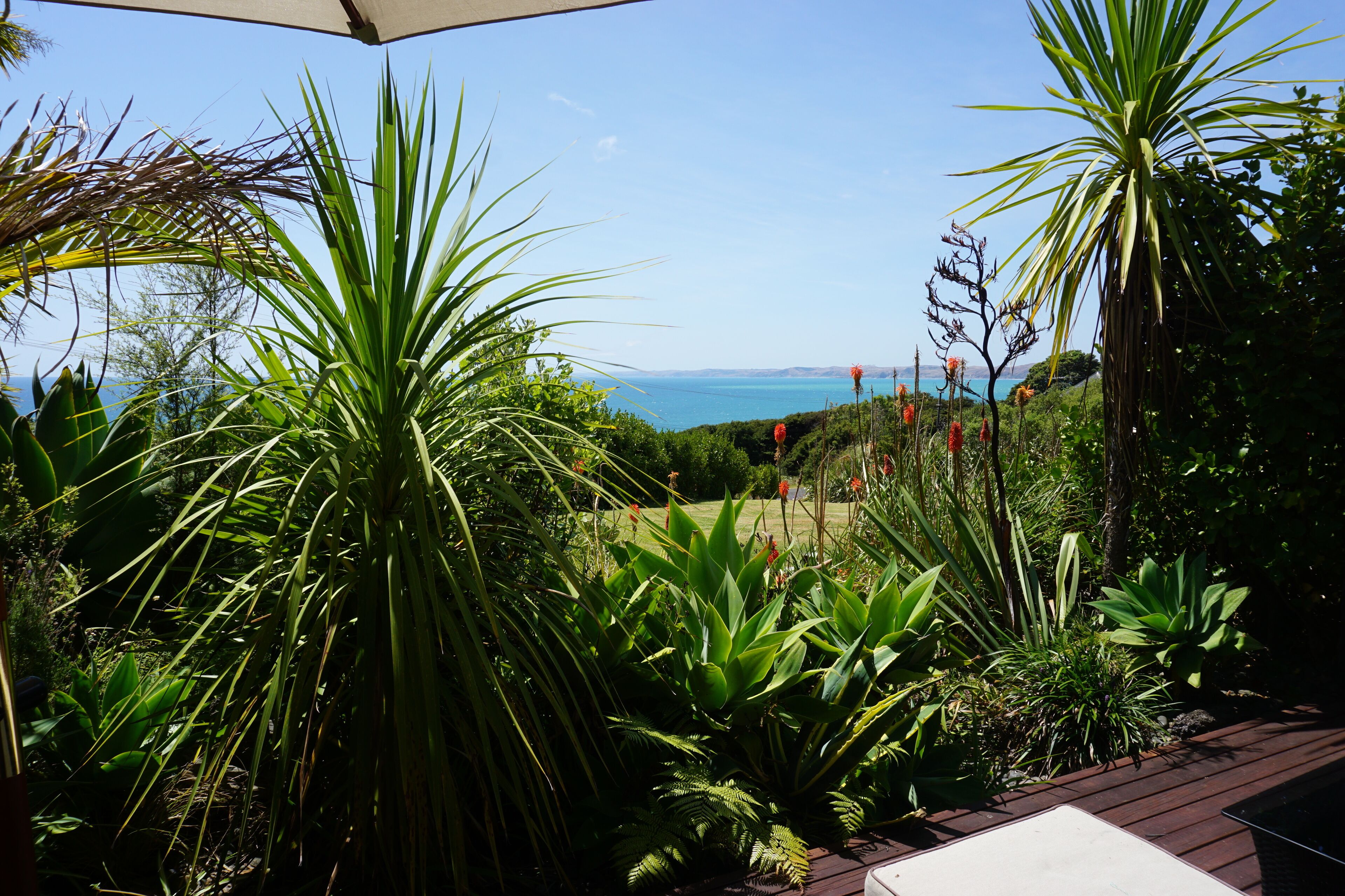 Un jardin avec différentes espèces de plantes et une vue sur la mer.