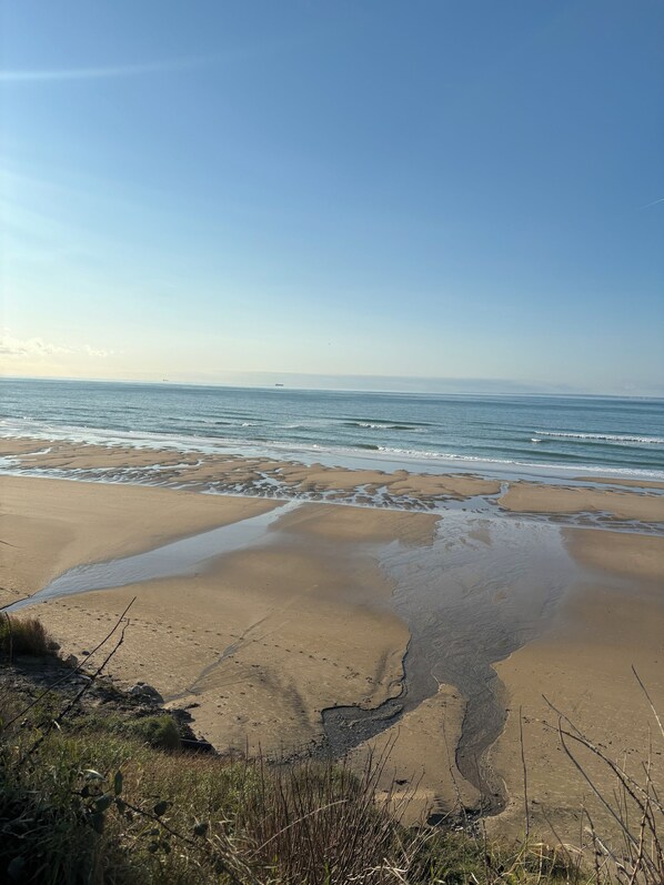 A beach with wet sand, a clear sky, and a distant ship.