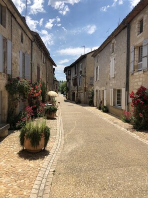 A cobblestone street lined with historic stone buildings, some with shutters, and potted plants with red flowers.