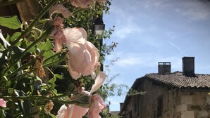 En smal brostensgade med bygninger med stenvægge og en række lyserøde roser i fuldt flor.
