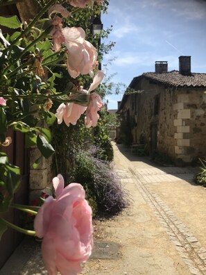 Détail de l’extérieur