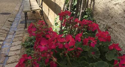 La Maison Bancale, Medieval house in stunning village, with great restaurants!