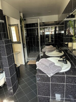Combined shower/tub, hair dryer, bidet, towels
