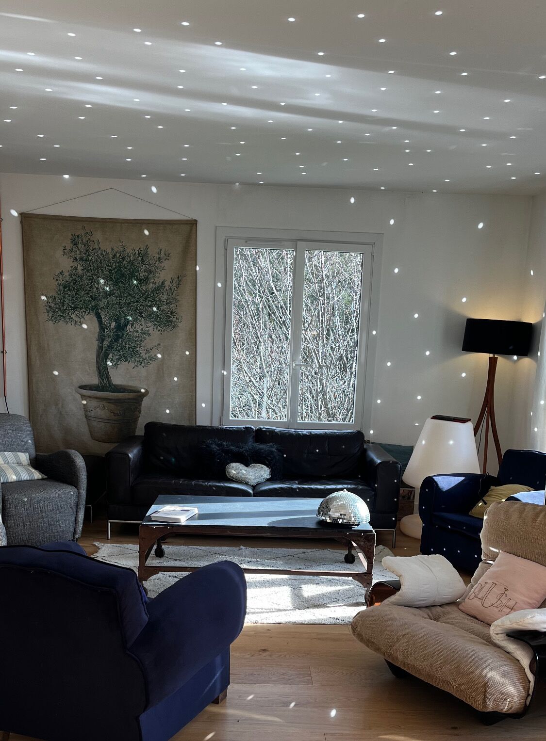 Télévision, cheminée, lecteur de DVD, livres