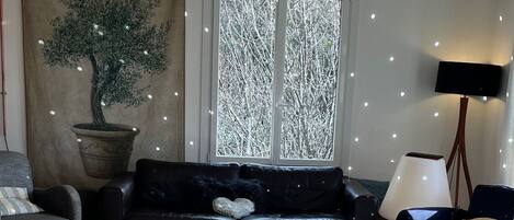 Télévision, cheminée, lecteur de DVD, livres