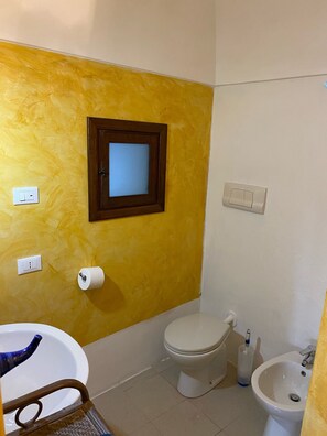 Douche, séchoir à cheveux, bidet, serviettes fournies