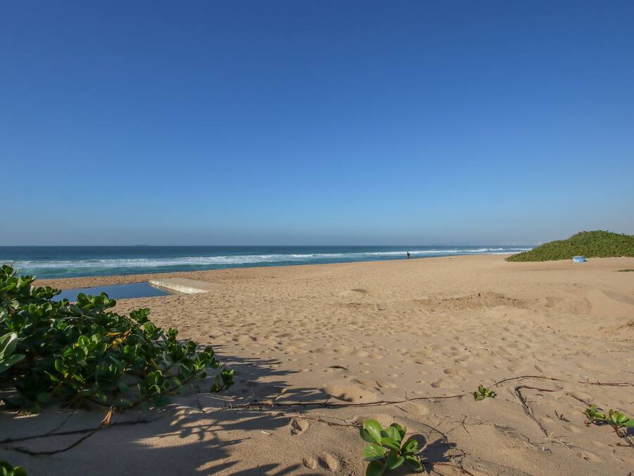 A sandy beach with gentle waves, a clear sky, and sparse vegetation.