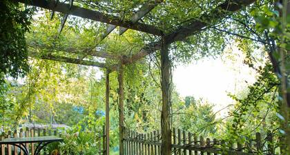 4 tähden kotipaikka, allergikoille, lähellä Bostalsee, vain tuntuu hyvältä