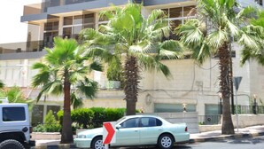 Een meerlaags gebouw met balkons, palmbomen en geparkeerde auto's.