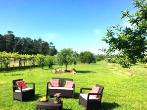 Área da propriedade