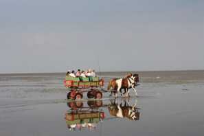 In Strandnähe, Liegestühle