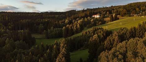 A rural landscape with a house on a hill, surrounded by dense forests and open fields.