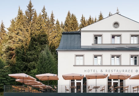 Terraço/pátio. Hotel Orlík