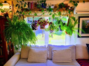 Interior - Miracles on Polly - Enchanted River Retreat (Belfast)