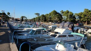 A marina with numerous boats docked, surrounded by trees and a clear sky.