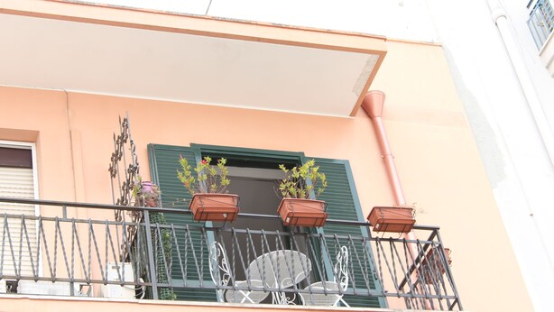 Exterior detail - Camelia (Brindisi)