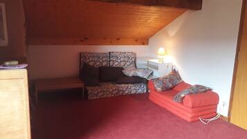 TV, fireplace, books