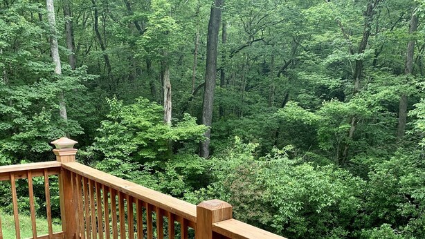A wooden deck with a railing overlooking a dense forest.