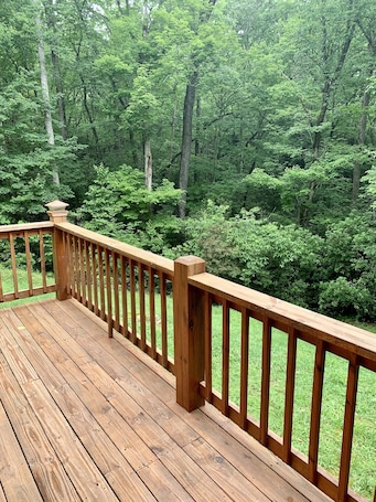 Property grounds. BearPaw Cabin- Charming and cozy cabin in the woods- WiFi-Pet Friendly-Secluded