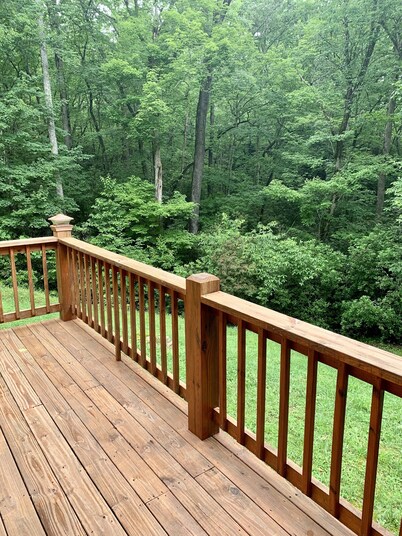 BearPaw Cabin- Charming and cozy cabin in the woods- WiFi-Pet Friendly-Secluded