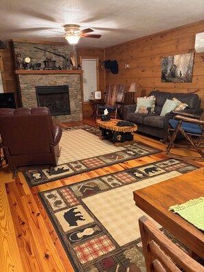 Smart TV, fireplace, DVD player, video library