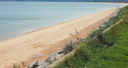 The Dolphin - UK31004