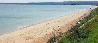 The Dolphin - UK31004