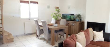 Télévision, cheminée, lecteur de DVD, livres