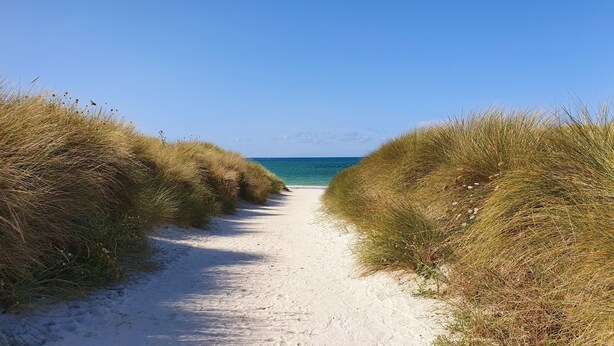 A sandy path leading to a beach, flanked by grassy dunes.