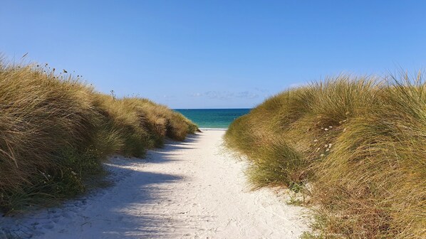 Beach nearby - Sea view, jacuzzi, 5 bedrooms, enclosed garden, pets allowed (Plounévez-Lochrist)