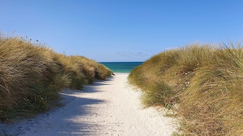 Sea view, jacuzzi, 5 bedrooms, enclosed garden, pets allowed