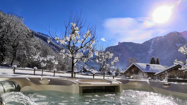 Un espace de détente avec un bain à remous, entouré d’arbres et de montagnes enneigées.