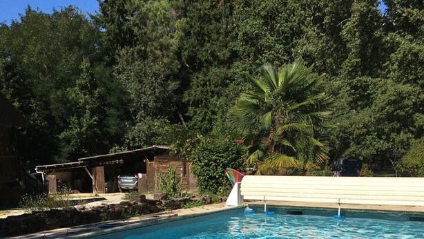 Piscina cristalina con dos personas nadando, rodeada de follaje y una estructura de madera.
