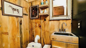 Regadera, amenidades de baño ecológicas, secadora de cabello, toallas