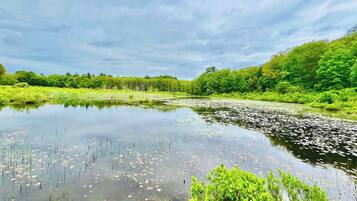 A calm lake surrounded by lush greenery and trees.