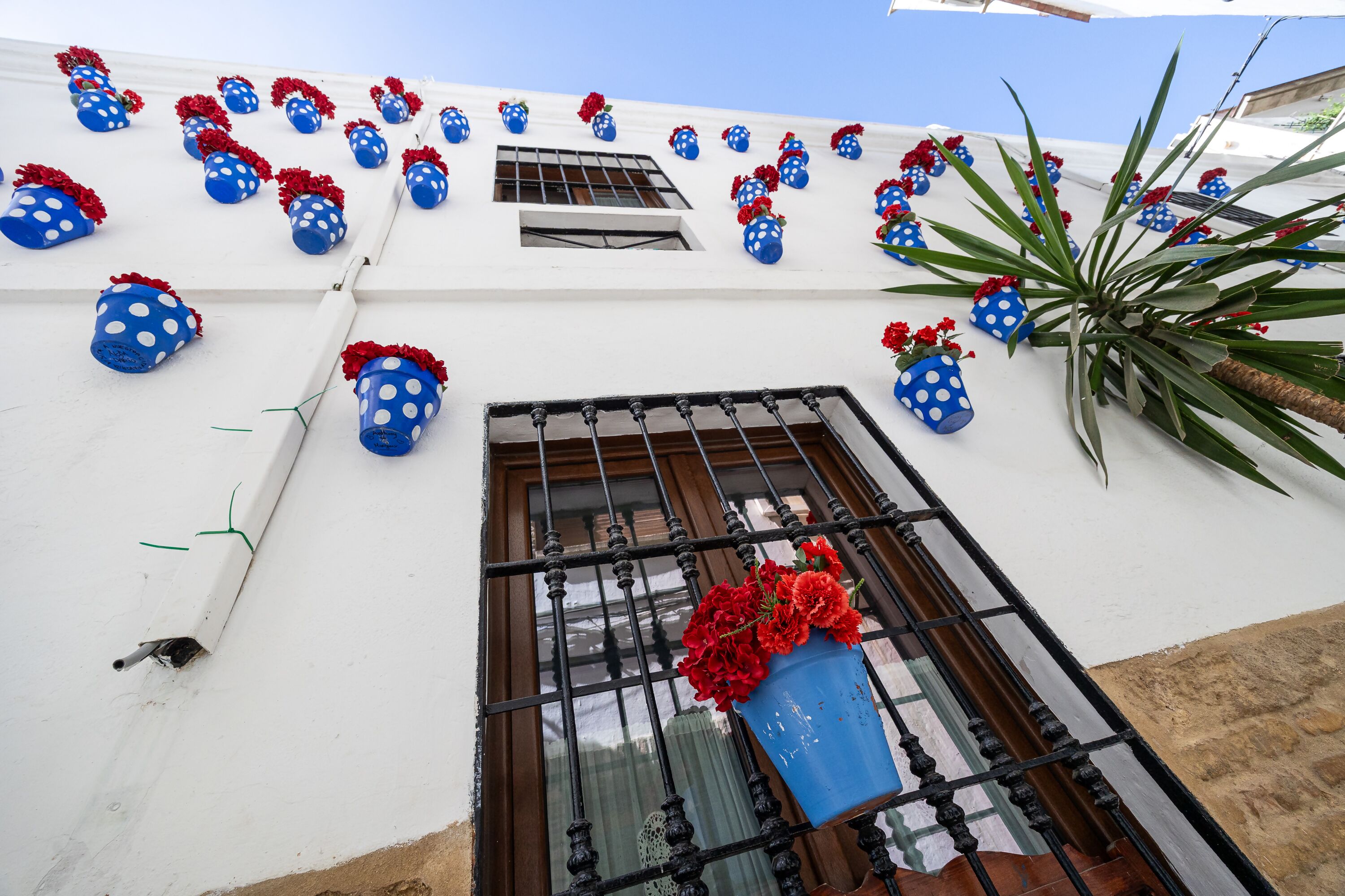 Detalle del exterior