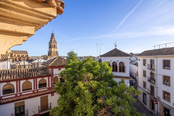 Nearby landmark,Bird's eye view