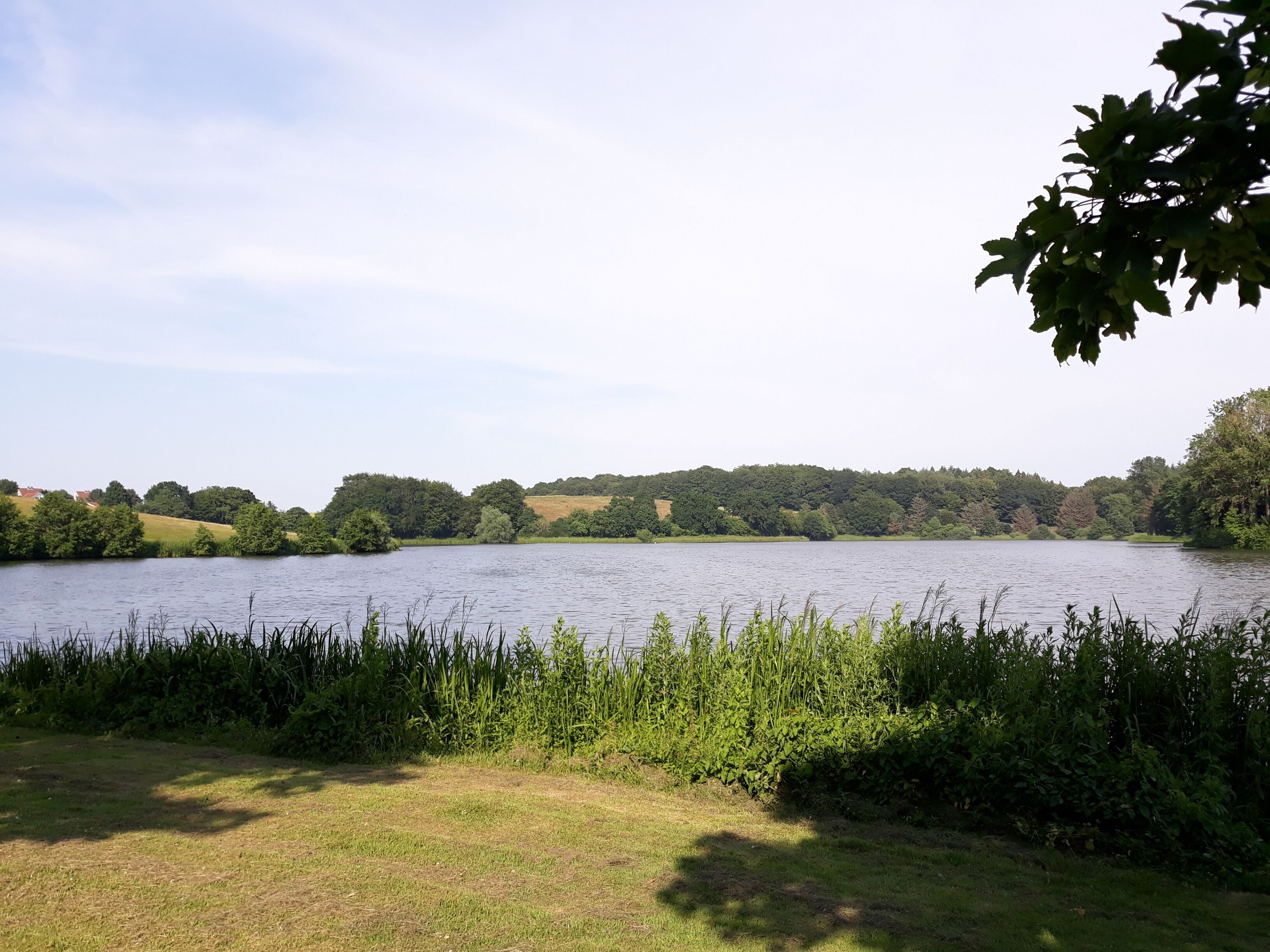 Een meer, omringd door grasvelden en bomen.