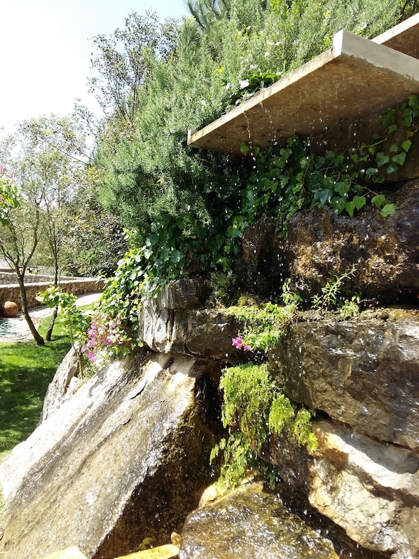 Property grounds - Rio d'Azenha - Country house (Bombarral)
