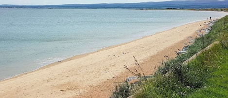 Pesca