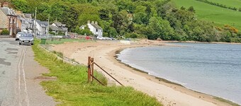 The Red Kite - UK31003