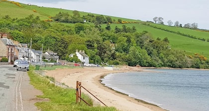 The Red Kite - UK31003