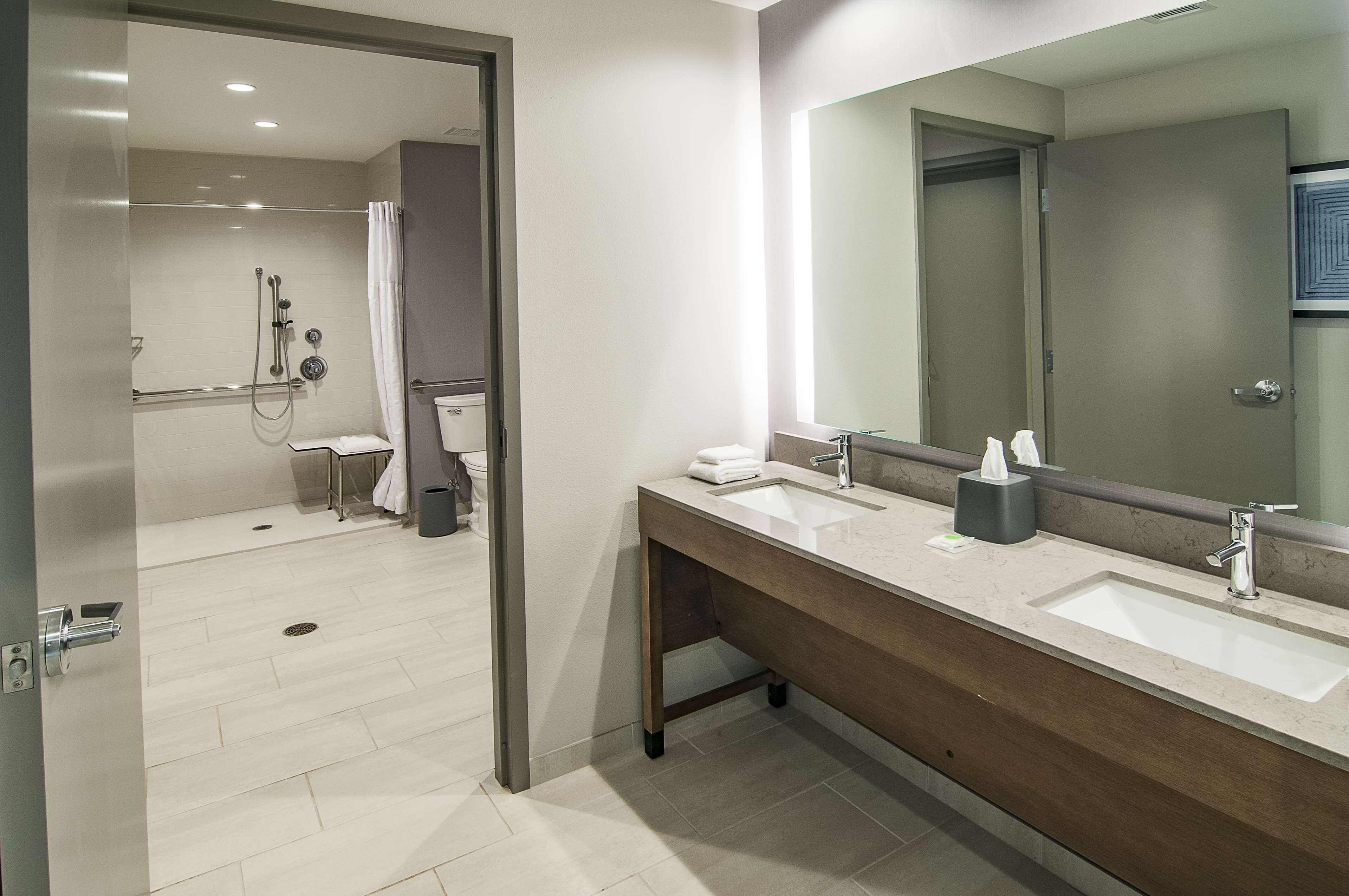 room, 1 king bed with sofa bed, accessible, view | bathroom | free toiletries, hair dryer, towels, soap